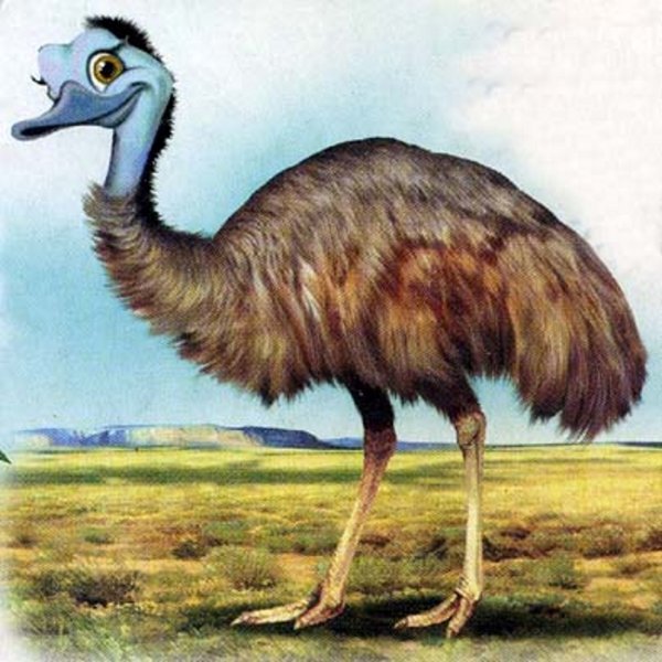 Страусенок малыш