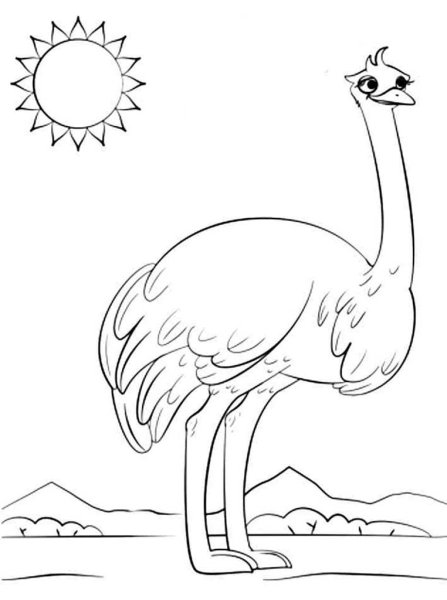 Страус раскраска