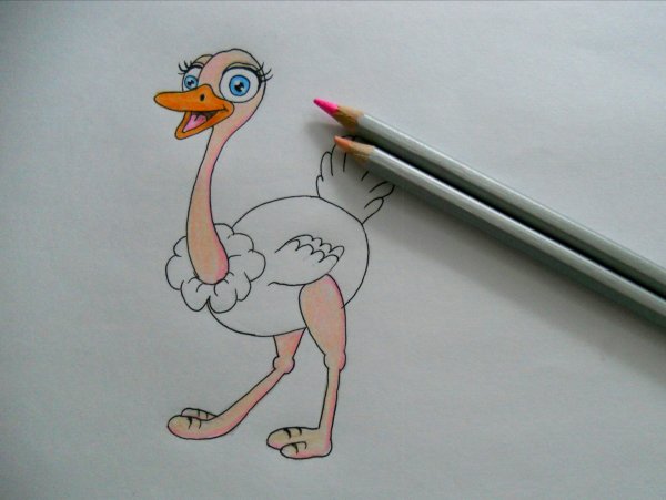 Мультяшные Страусы