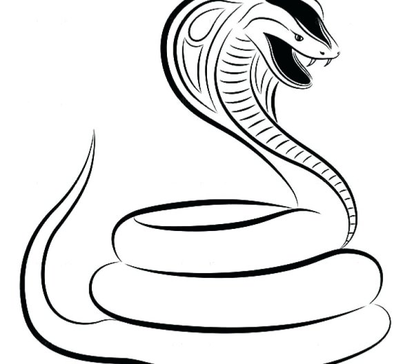 Змея карандашом
