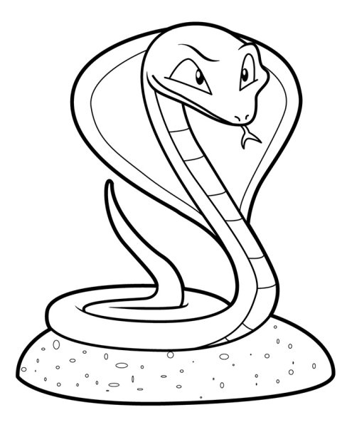 Змея раскраска