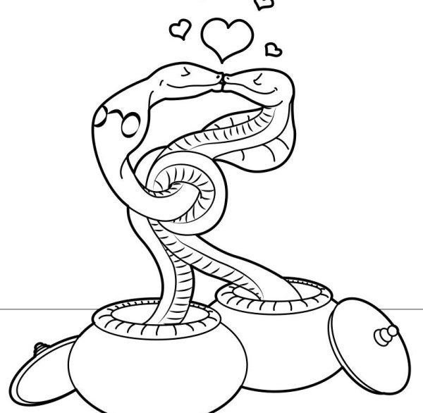 Змея раскраска