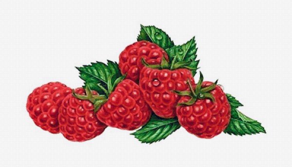 Малина нарисованная