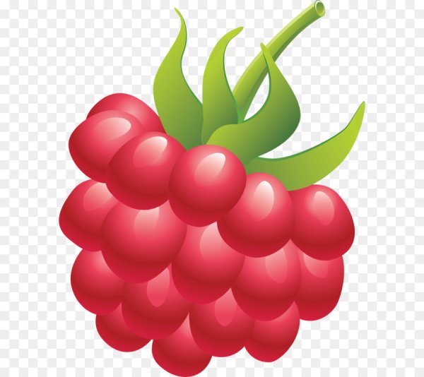 Ягода малина вектор