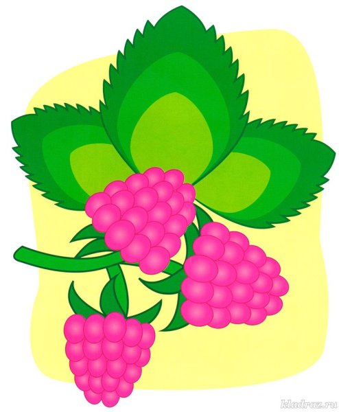 Малина пальчиковая раскраска