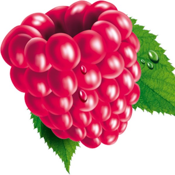 Малина символ