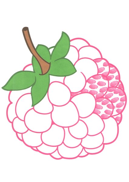 Трафарет малины для рисования