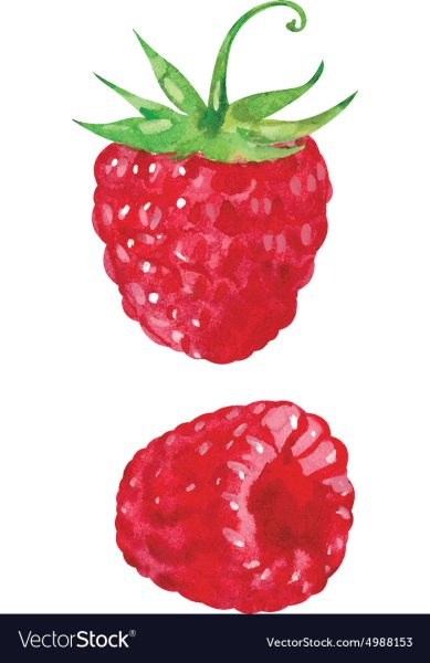 Рисуем малинку