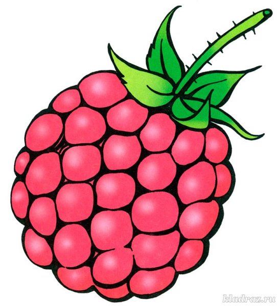 Малина счетный материал для детей