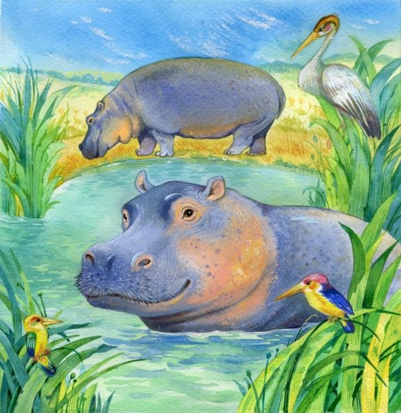 Бегемот Хиппо