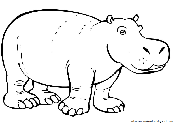 Бегемот акварелью