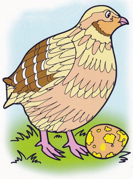 Перепелка мультяшная