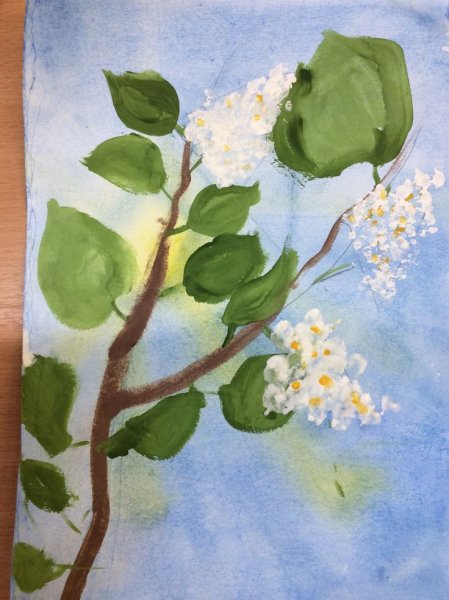 Черемуха гуашью
