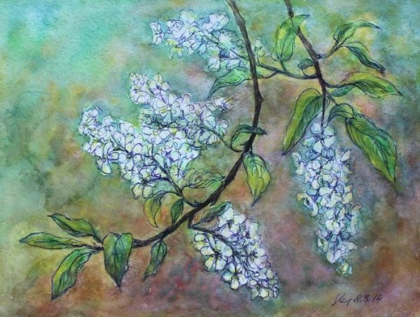 Есенин черемуха картина