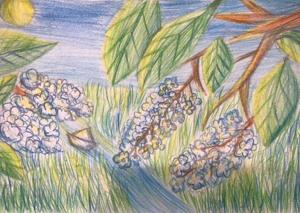 Иллюстрацию Сергея Александровича Есенина черемуха