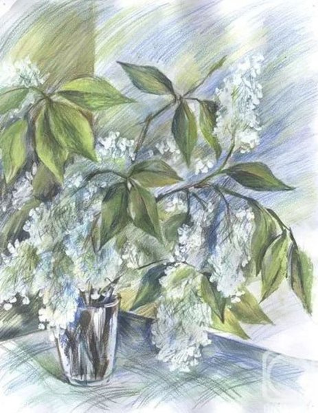 Есенин черемуха иллюстрации