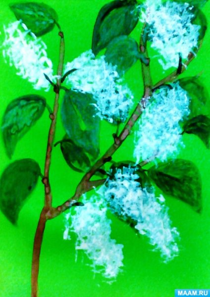 Рисование ветка черемухи