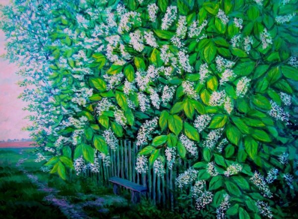 Черёмуха обыкновенная дерево чб