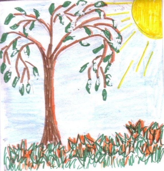 Детские рисунки черемухи