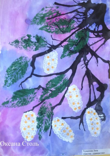 Черемуха рисунок