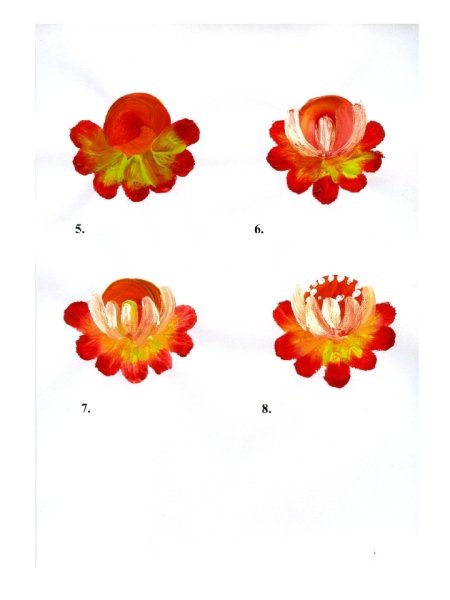 Жостовская роспись элементы росписи поэтапно