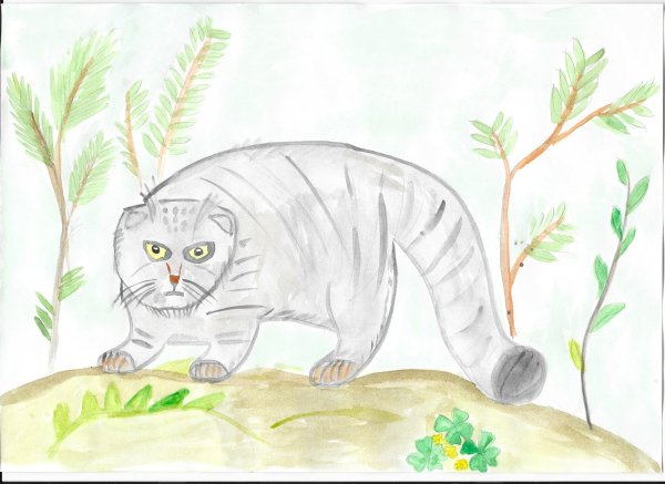 Детский рисунок манула