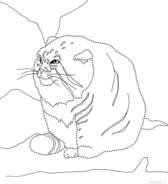 Кот Манул раскраска для детей