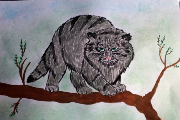 Рисование манула карандашом