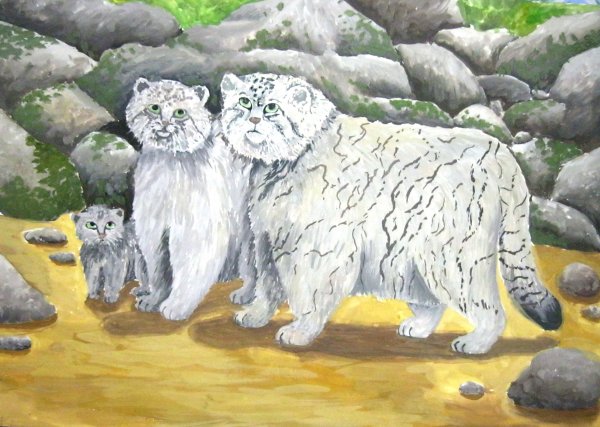 Детский рисунок манула