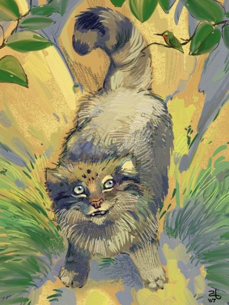 Кот Манул нарисовать