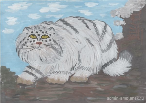 Рисунок на конкурс красная книга Манул