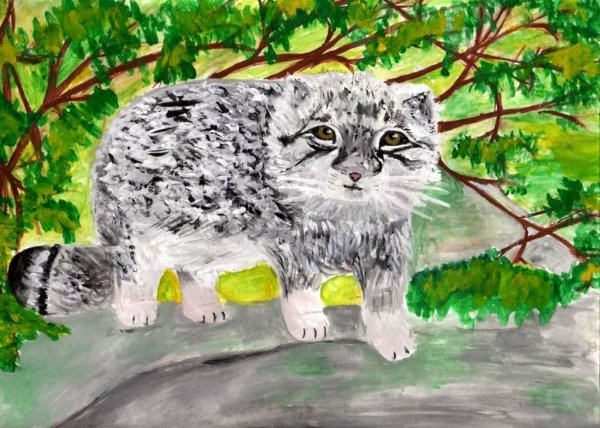 Детский рисунок манула