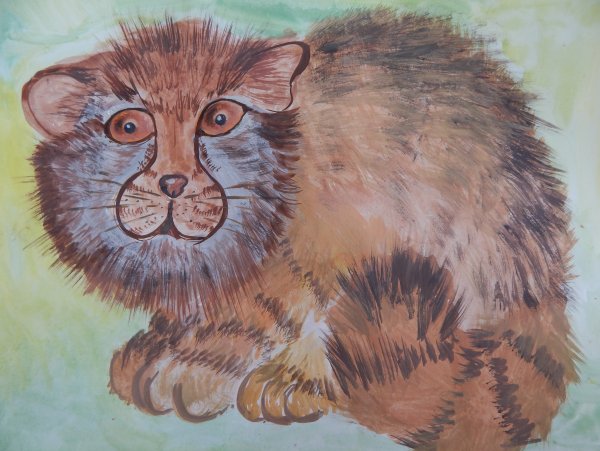 Детский рисунок манула