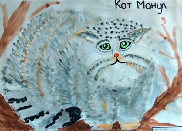 Детский рисунок манула