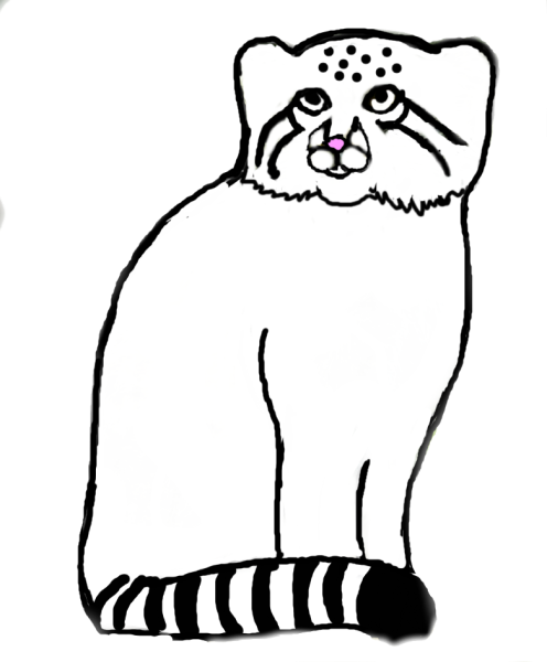 Кот Манул раскраска