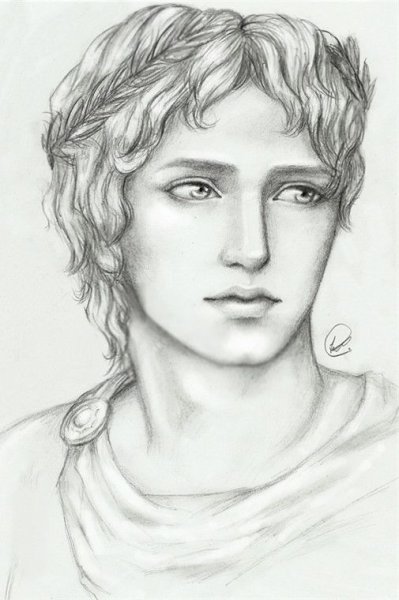 Аполлон Бельведерский бюст рисунок