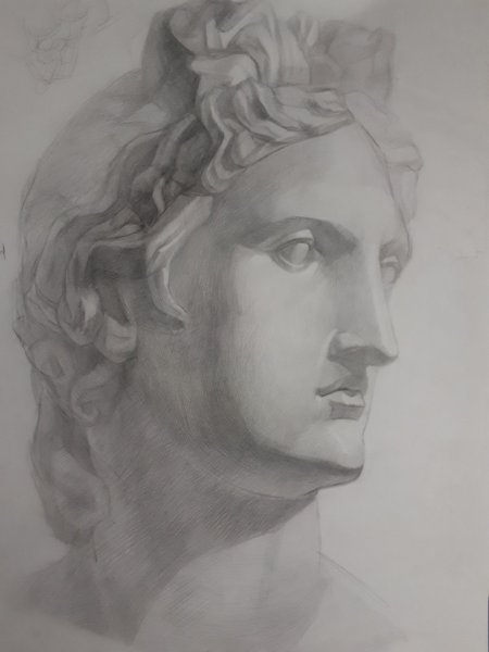 Аполлон Бельведерский рисунок