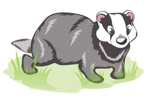 Барсук иллюстрация для детей