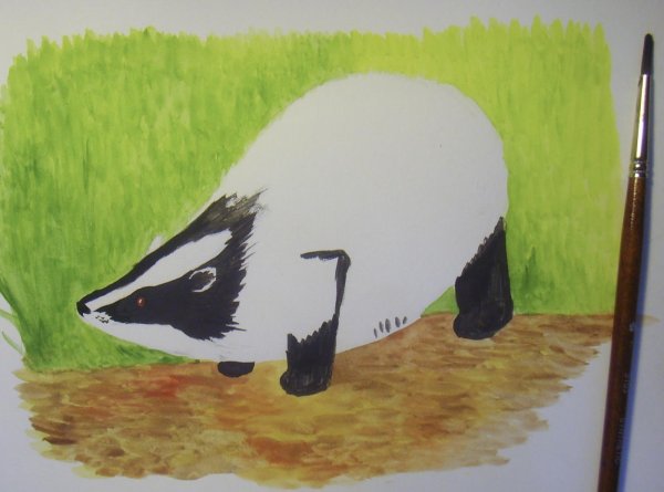 Барсук Норы для дошкольников