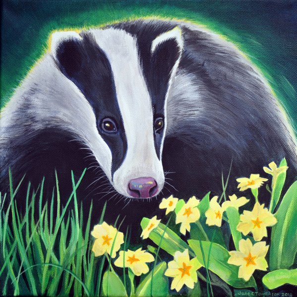 Барсук карандашом