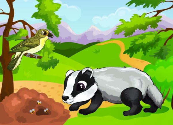 Барсук для детей