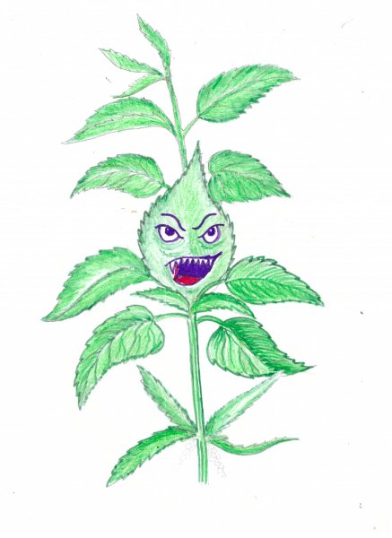 Крапива карандашом