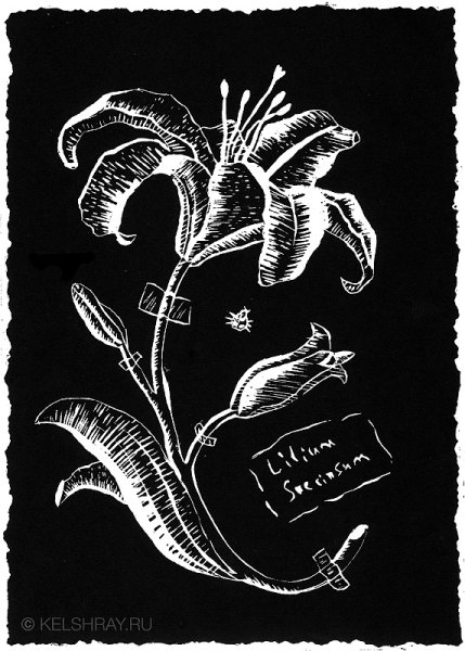 Гравюра простая