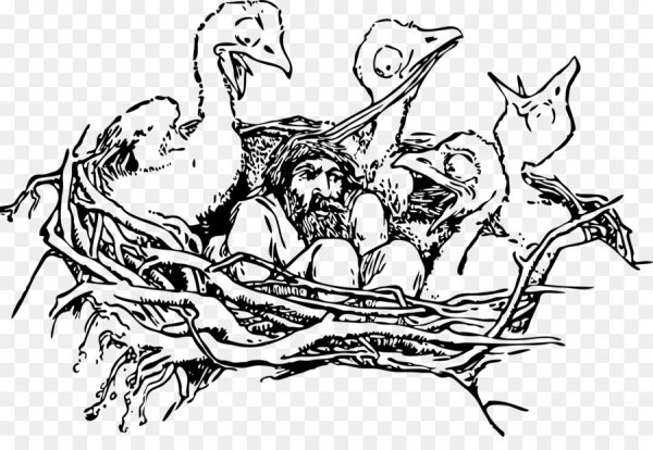 Рисование птенцов в гнезде