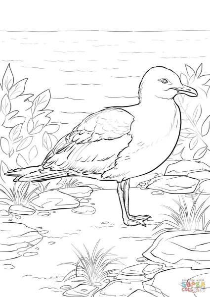 Жук олень карандашом