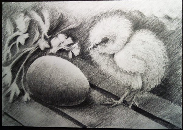 Раскраски. Страшилки