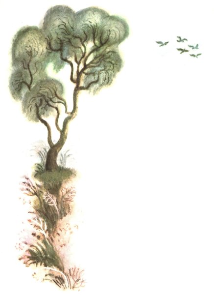 Брюсов иллюстрации