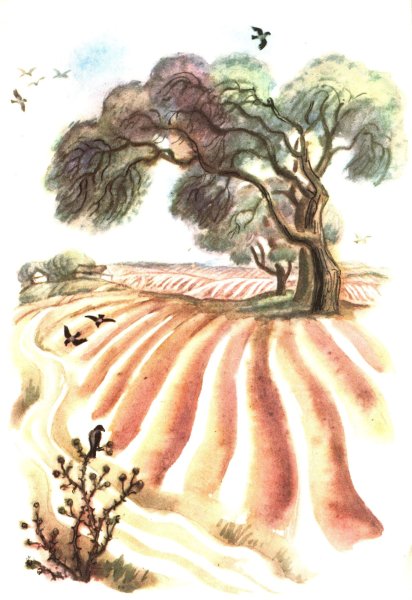 Брюсов детская иллюстрации