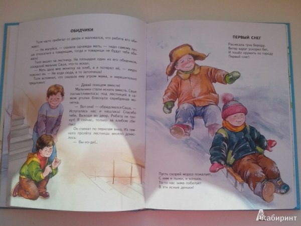 Осеева обидчики