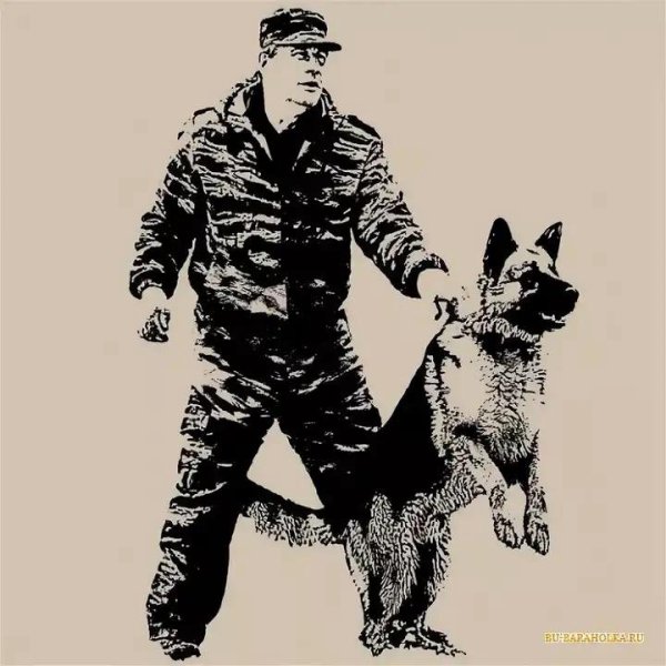 Рисунок на тему кинология